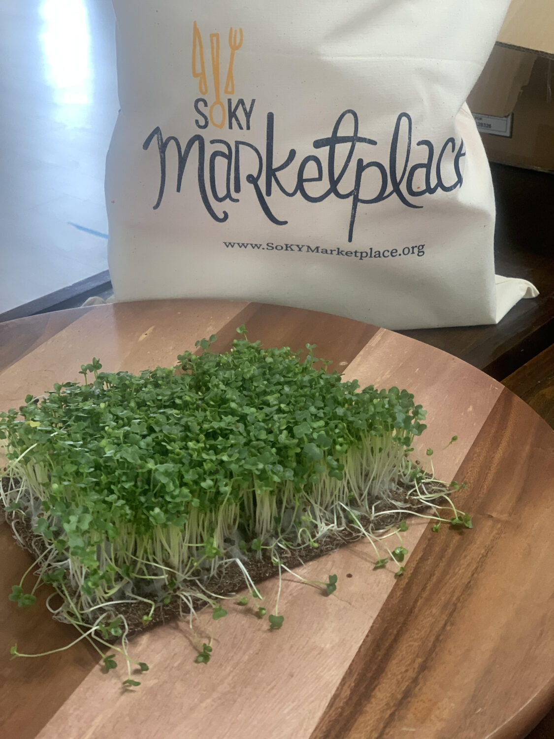 Micro Greens Now Available at the Crop Shop